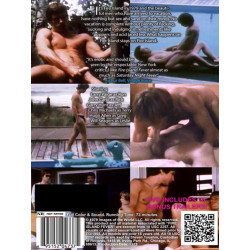 Fire Island Fever DVD (Bijou) (19998D)